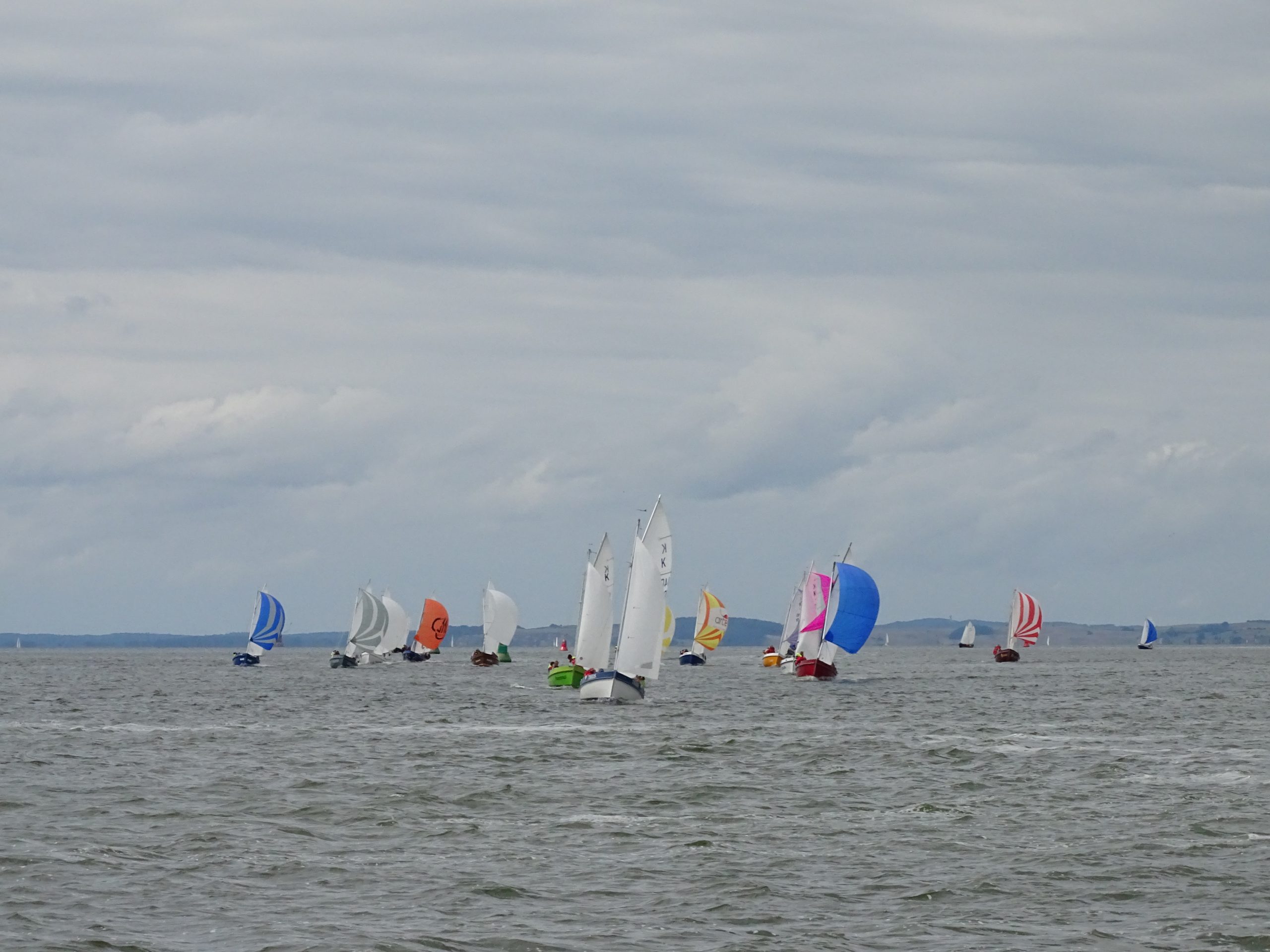 Rudenregatta